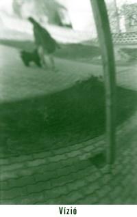 A hallucinogének: Ebbe a csoportba sokféle drog tartozik. Egy részük természetes eredetű, mint pl: pszilocibin, vagy a meszkalin. Másokat mesterségesen (laboratóriumban) állítanak elő; ilyen pl.