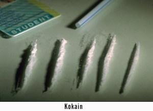 A kokain és a crack: A kokain a Dél-Amerikában őshonos kokacserje leveléből előállított fehér por. kokain crack Mit tudunk a kokain történetéről?