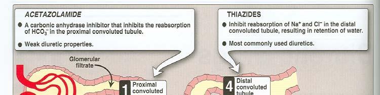 (Carbonic Anhydrase Inhibitors) Osmotic Diuretics Diuretics that