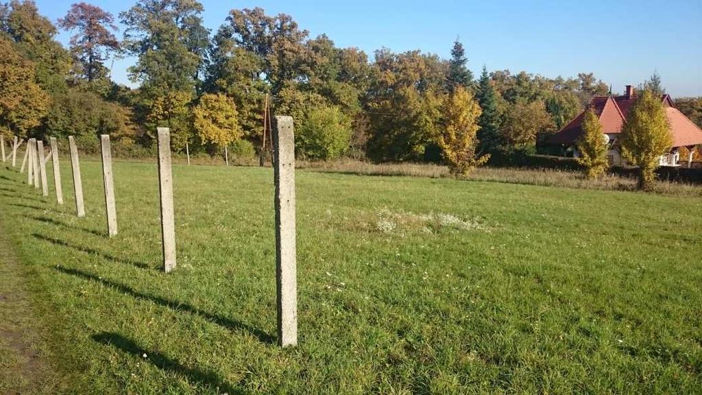 ábra: Üresen álló, füvesített telek Fotó: Világos Ákos A területhasználat változásánál jellemző tendencia, hogy nem csak a szőlők, hanem a kisebb gyümölcsösök, régebbi zártkertek, kiskertek