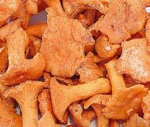 Medvehagyma, aprított 5x1 kg Akció Tárkony Herbafrost 8x250 g Új BBQ Fűszermix 8x
