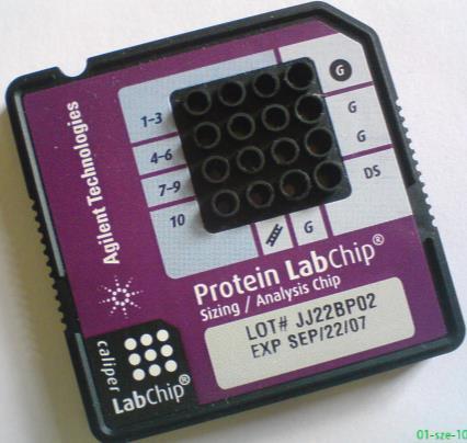 2. ábra Az elektroforetikus mikrochip felépítése Az injektálás a minta tartályokból (1-10-ig számozva a 2.