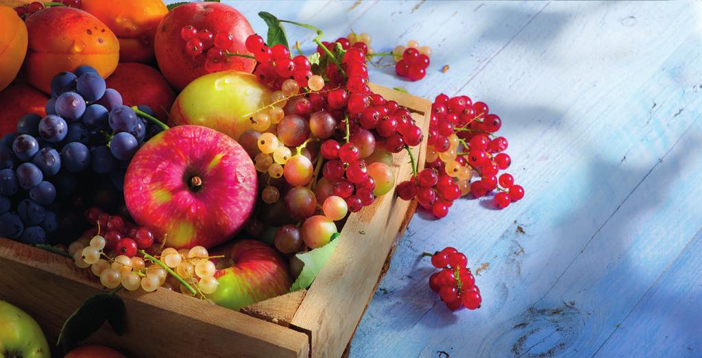 90% gyümölcstartalom minden pürénél azonnal felhasználhatóak, nem szükséges hámozni, magozni, feldarabolni és lefagyasztani a gyümölcsöket szobahőmérsékleten tárolható, felbontás után hűtendő