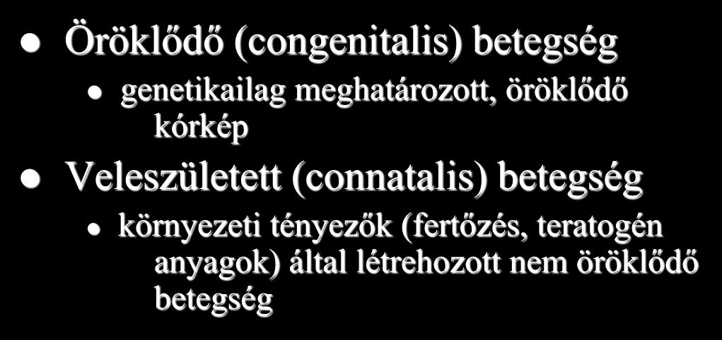 Fogalmak I.