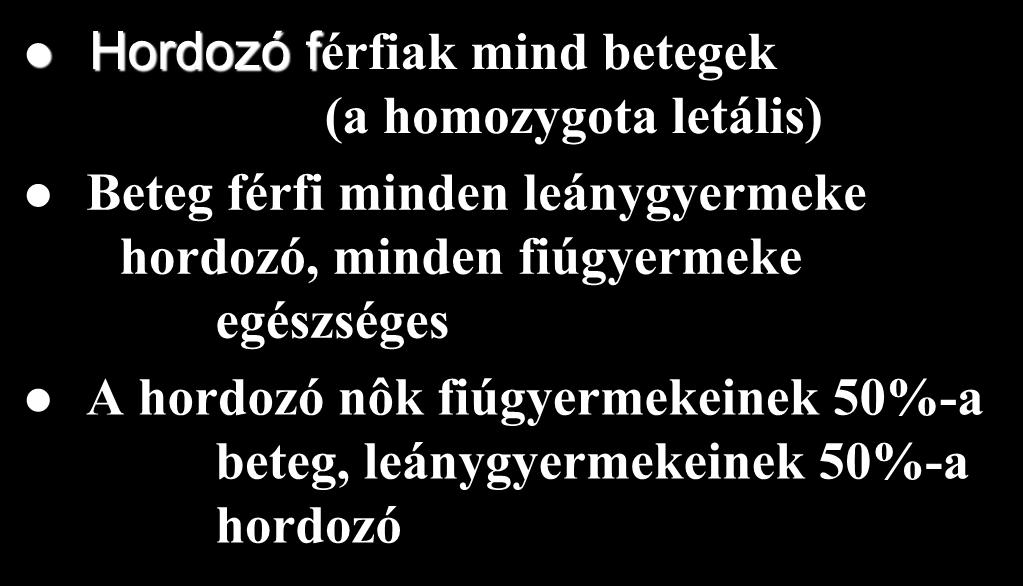 X recesszív öröklődésmenet Hordozó férfiak mind betegek (a homozygota letális) Beteg férfi minden leánygyermeke