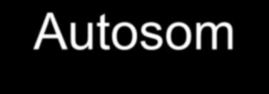 Autosomalis kromoszómák defektusai Trisomiák: