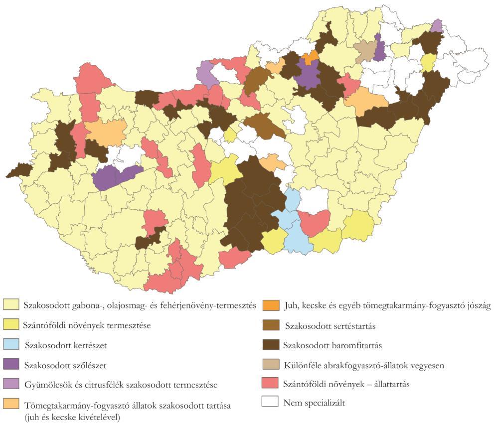 A 2000 utáni gazdaságszerkezet alakulását nagyban meghatározták a rendszerváltozás, illetve az