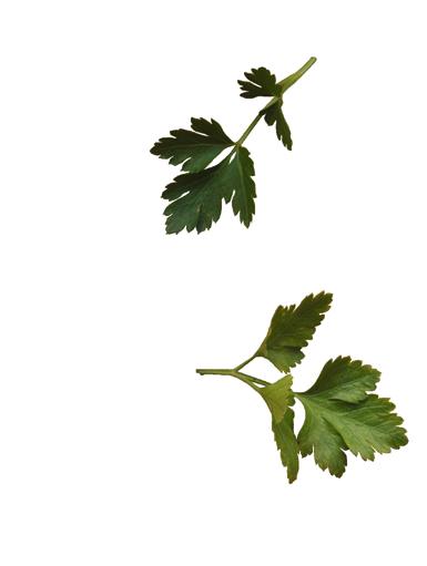 csök k rá