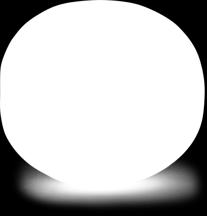 Fokhagyma