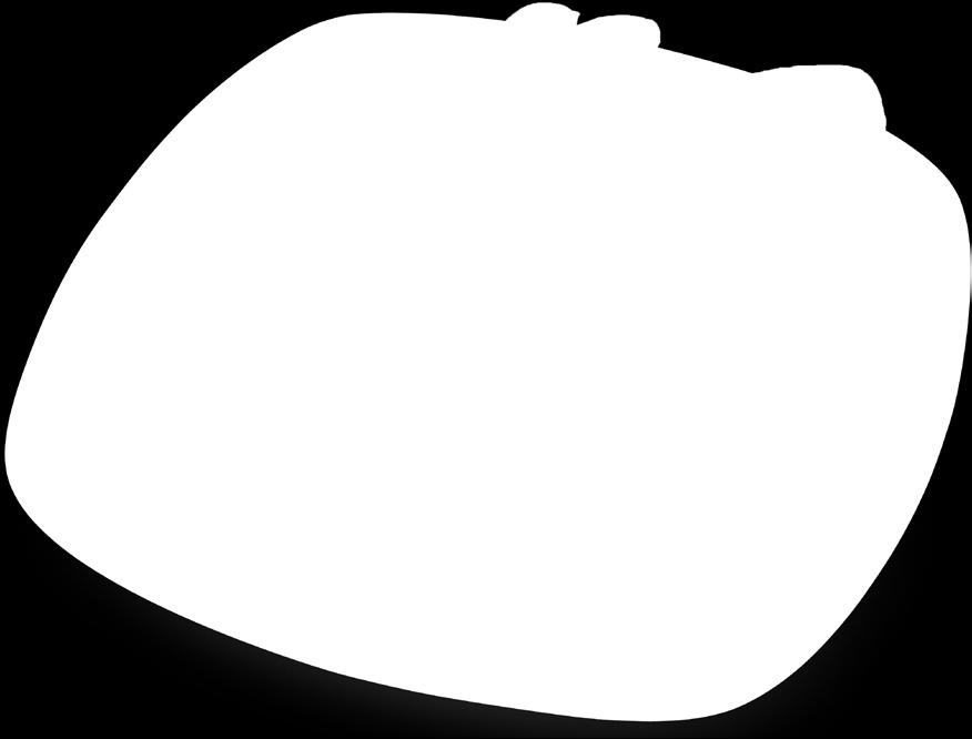 898 kg 79-22% 89 69