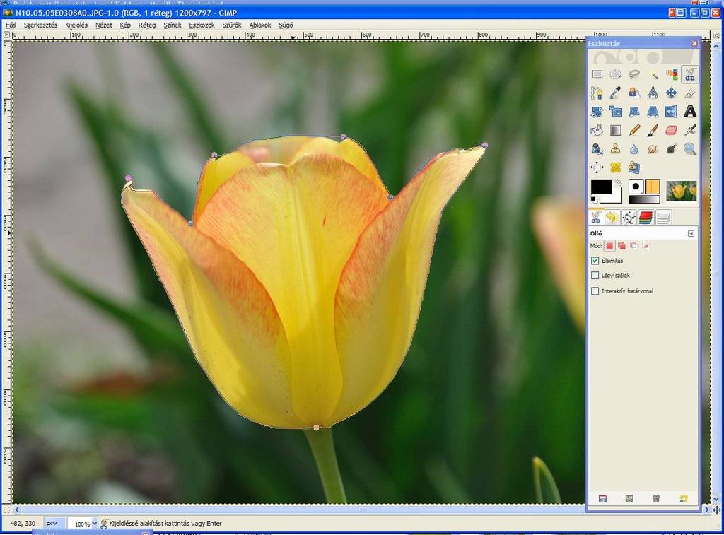 Intelligens olló Nyissuk meg a tulipan.jpg képet! Válasszuk ki az intelligens ollót (.)! Kattintsunk a virág jellegzetes pontjaira (-7)!