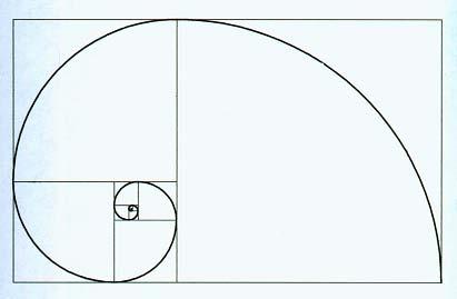 lesz szélesebb az előzőnél, vagyis aranyspirált kaptunk. (A geometriában ezt nevezik logaritmikus spirálnak.