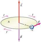 a mágneses momentum oka: atommagé elhanyagolható elektroné a mag körüli mozgásból és a saját perdületéből