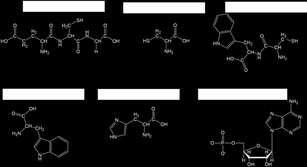 (Horiba Jobin Yvon Fluoromax-4) Fluoreszcencia élettartam és kvantumhasznosítás (Edinburgh FLS920) Fourier-transzformációs infravörös spektroszkópia (BIO-RAD Digilab Division FTS- 65A/896 és BIO-RAD