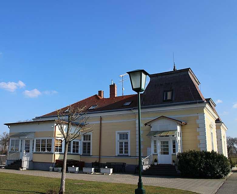 A helyi védelemre javasolt Niczky-kastélyt a XIX.