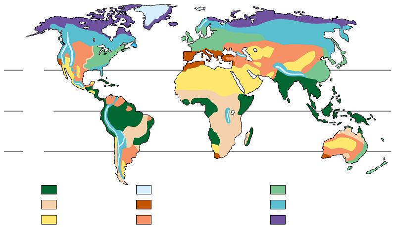 Biomok Sarkvidéki Mérsékelt 30º N Szubtrópusi Trópusi Egyenlítő Egyenlítői 30º S Trópusi esőerdő Szavanna Sivatag Örök hó