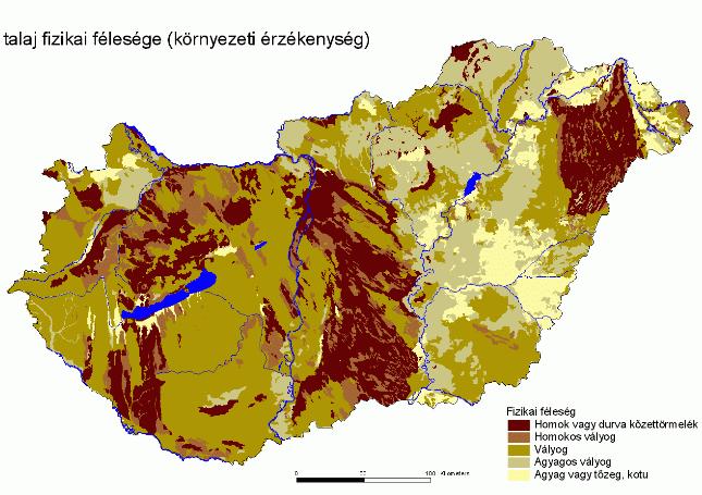 A talaj mechanikai összetétele Fizikai talajféles leségek homokszemcsék: