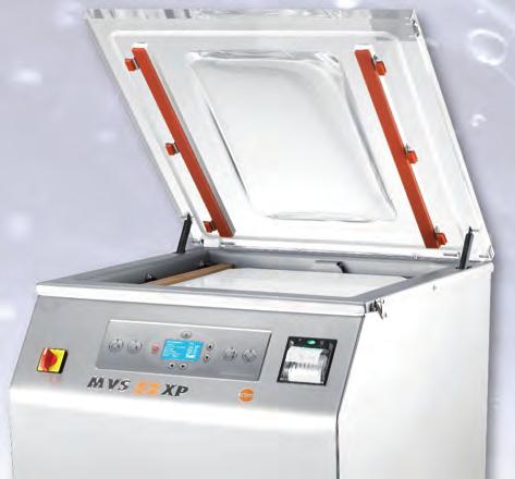 MVS 31x