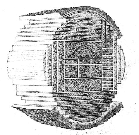 A szerkezeti faanyagok választékai deszka tetőléc FŰRÉSZIPARI VÁLASZTÉKOK 2,5 cm x 10/12/15 cm 1,00/1,25/2,05/3,00/4,00/6,00 m felhasználás: zsaluzat, tetődeszkázat, járófelületek és burkolatok