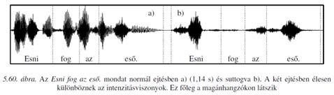 Transzglottális terület 3.