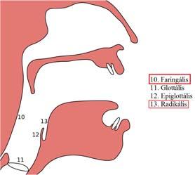 [ʕ] faringális zöngés frikatíva [ħ] faringális