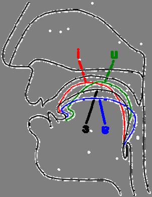 A nyelv mozgásai a nyílásképzés során A nyelv szerepe a magánhangzók képzésében A nyelv vízszintes mozgása szerint: A