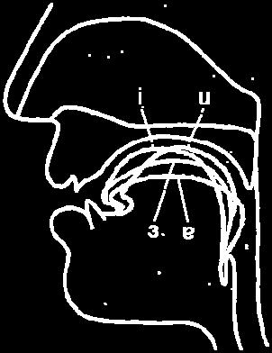 nyelvállású palatális (elöl képzett) magas veláris (hátul képzett) mély Középen képzett (mediális) Elöl képzett