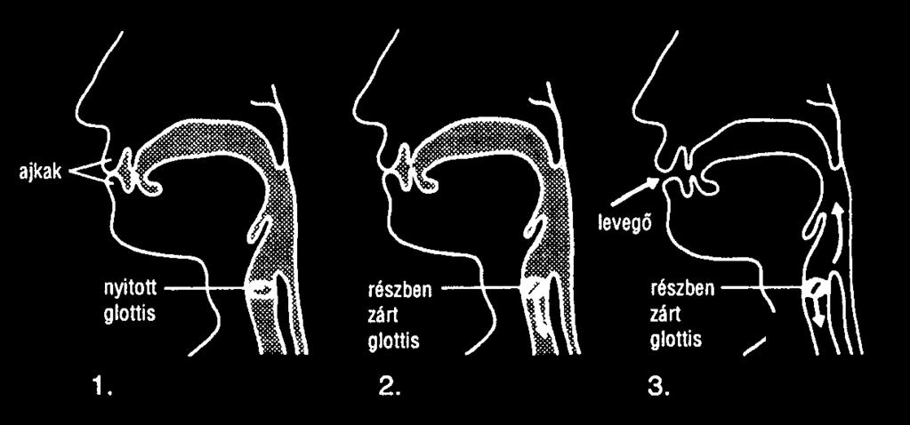 Az implozívák képzése [ɓ] Bilabiális zöngés implozíva [ɗ] Dentális/Alveoláris zöngés implozíva [ʄ] Palatális zöngés implozíva [ɠ] Veláris zöngés implozíva [ʛ] Uvuláris zöngés implozíva Az