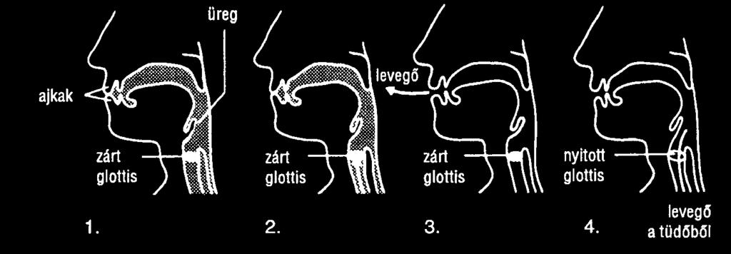 Higher pressure atmospheric air rushes into the oral cavity to equalise pressure. This creates turbulent air flow and generates the implosive burst noise. 7. Lung pressure rises. 8.