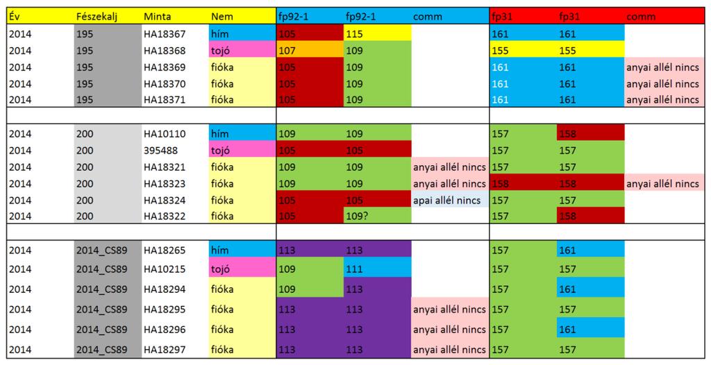 2. Ábra. Az NVHfp92-1 és NVHfp31 lókuszok lehetséges nullallél előfordulásai A fenti ábrán három fészekalj genotípusai láthatók a két lókuszon.