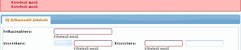 3.3.2. Felhasználó létrehozása e-képviselőként Az e-képviselő felhasználócsoportba tartozó felhasználó kizárólag Adatszolgáltató felhasználócsoportba tartozó felhasználókat hozhat létre.