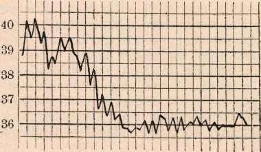 icus. A kiütéses typhus a III.