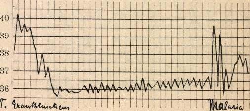 6. (37. sz.) A 4. napon pseudokrisis. Lysis a 9.