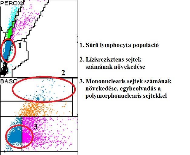 Állatorvostudományi Egyetem Kórélettani és Onkológiai Tanszék - PDF Free  Download