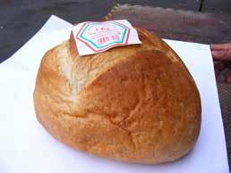 Import trappista