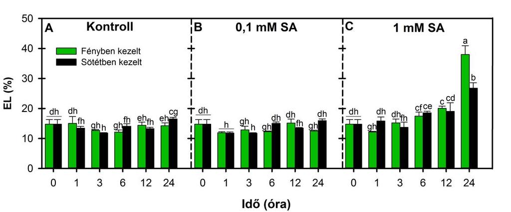 nagyobb mértékű pusztulást a fényben történő kezelés során okozott az VT paradicsom növények leveleiben (6. ábra C). 6.