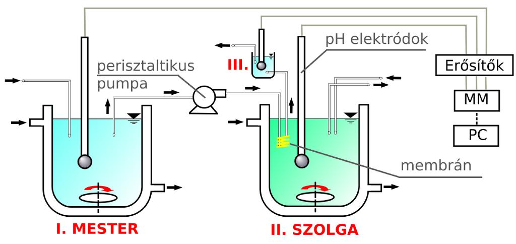 2.4. PH-OSZCILLÁTOROK CSATOLÁSA 35 2.10. ábra. A csatolt ph-oszcillátorok térbeli elválasztásának vázlatos rajza. Az ábrán három CSTR reaktor szerepel, és mindhárom reaktorban mérjük az oldat ph-ját.