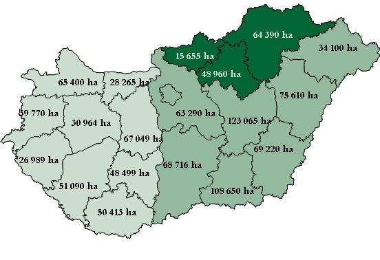 Az ıszi búza várható 2010. évi vetésterülete Magyarországon, megyei bontásban Forrás: MgSzH adatai alapján saját szerkesztés A gabonafélék hazai termelıi ára tovább emelkedett szeptemberben.