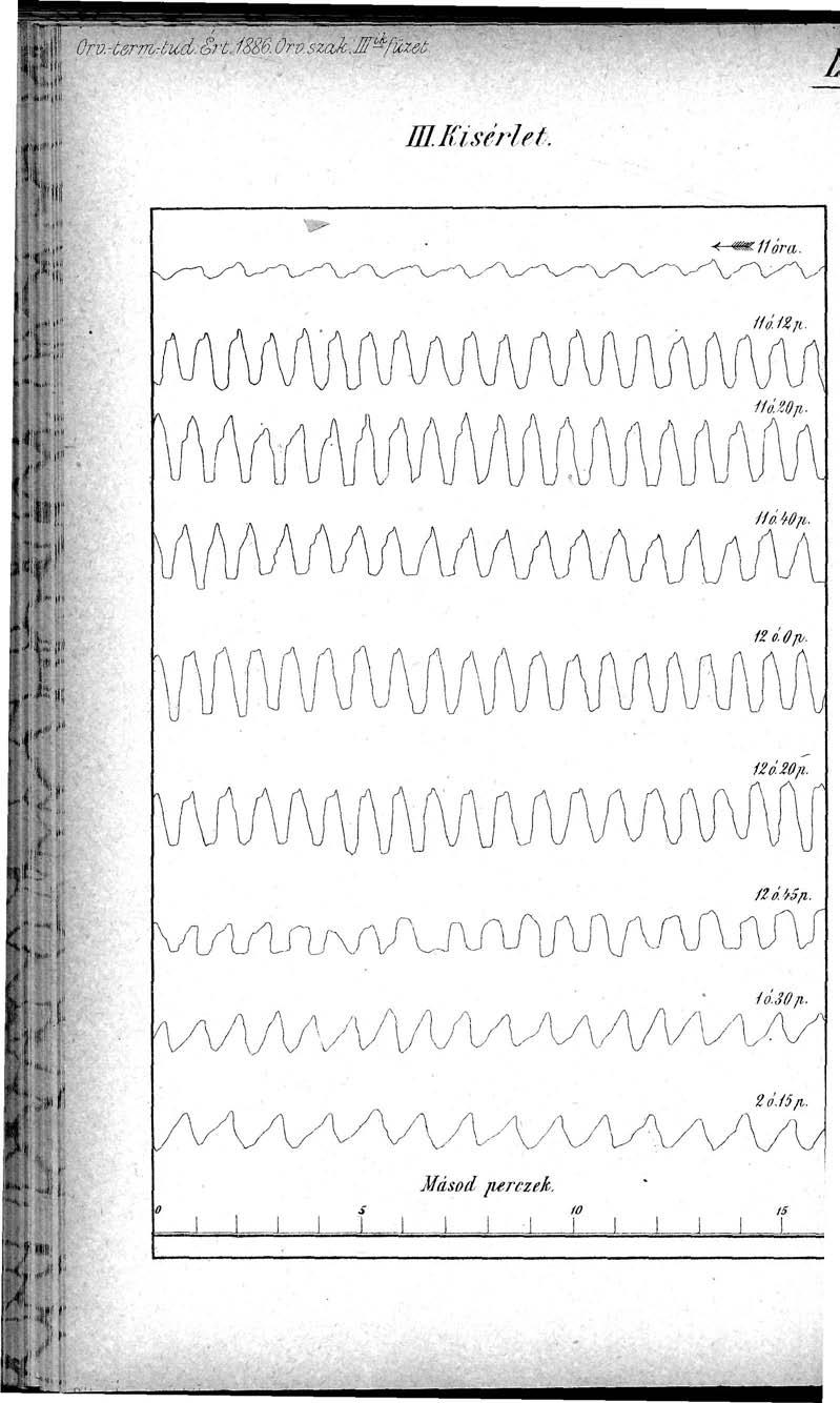 ff K. Ora-termAud.Sri. Í886.Orv.szak:M k -ficz&t m.kisériet, \ J u U U!VAJ tííaoji. Hó. W/i. L ummmm\.
