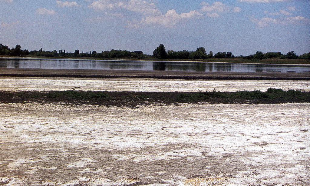 Fülöpszállás és Szabadszállás határában, a szikes talajfelszín mélyedéseiben öt, természetes módon kialakult tavat találunk.