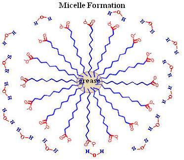 html the molecules or polymolecular particles dispersed in a medium have at least in one direction a dimension roughly between 1 nm and 1µm, or that in a system discontinuities are found at distances