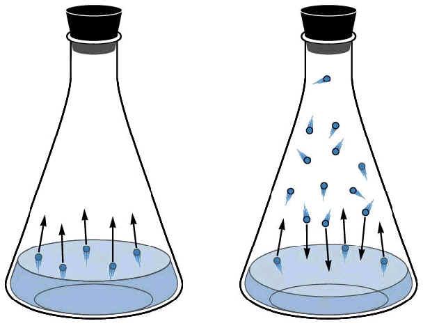 Fázisátalakulások: Párolgás, forráspont, kritikus állapot Egyensúlyi gőznyomás (tenzió): www.unit5.org/christjs/vapor_pressure_boiling_point.