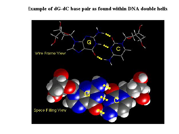 This force is sometimes called an induced dipole-induced dipole attraction.