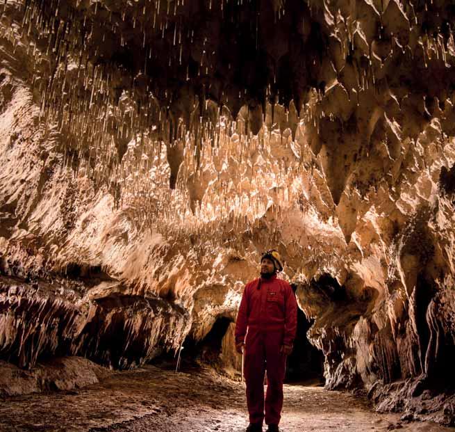 DOMICA-BARLANG Bár a leletek tanúsága szerint már az ôskori ember is ismerte és használta a barlangot, újkori felfedezése csak az I.