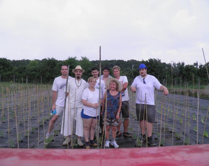 312117) 2) BIOCHAR Biochar szilárd mikrobiológiai hordozó és EM előállításának, felhasználási technológiájának kisérleti fejlesztése a