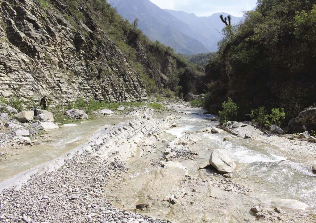 V Zoltán: Gyalogtúra a Keleti-Sierra Madre láncai között: Azekium valdezii a Potosí-folyó kanyonjából 2013-ban mexikói botanikusok írták le az Aztekium nemzetség új fajt A.