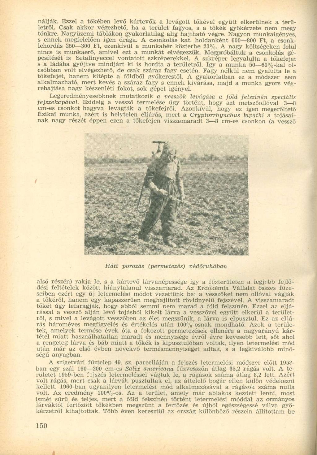 A nálják. Ezzel a tőkében levő kártevők a levágott tőkével együtt elkerülnek a területről. Csak akkor végezhető, ha a terület fagyos, s a tőkék gyökérzete nem megy tönkre.