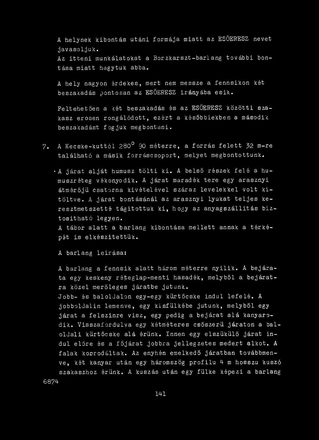 A járat maradék tere egy arasznyi átmérőjű csatorna kivételével száraz levelekkel volt kitöltve.