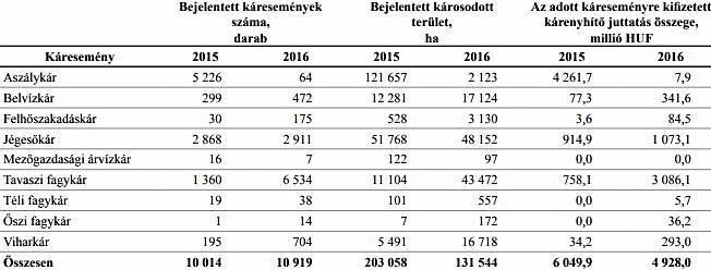 EREDMÉNYEK vessző, és akkor kap hirtelen egy nagy hideget, akkor az sokkolja a növényt és elfagy.