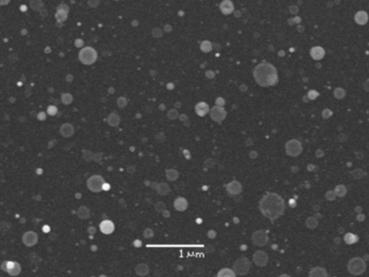 5.3 ábra: Egyszeres, I 620 nm = 0,77 x 10 13 W/cm 2 intenzitású lézerimpulzussal Si felületére leválasztott nanorészecskékrıl készült SEM felvétel (nagyítás 20 000 x) és a felvételeken látható